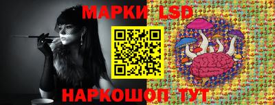 мдма Камышлов