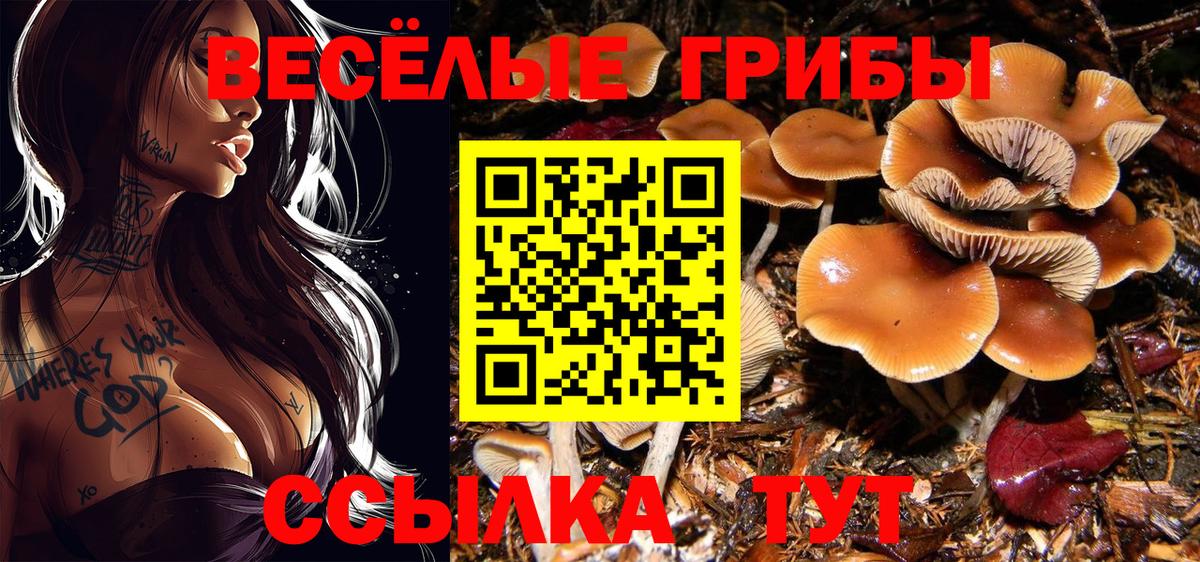 Липецк  Галлюциногенные грибы мухоморы  Вход с VPN 